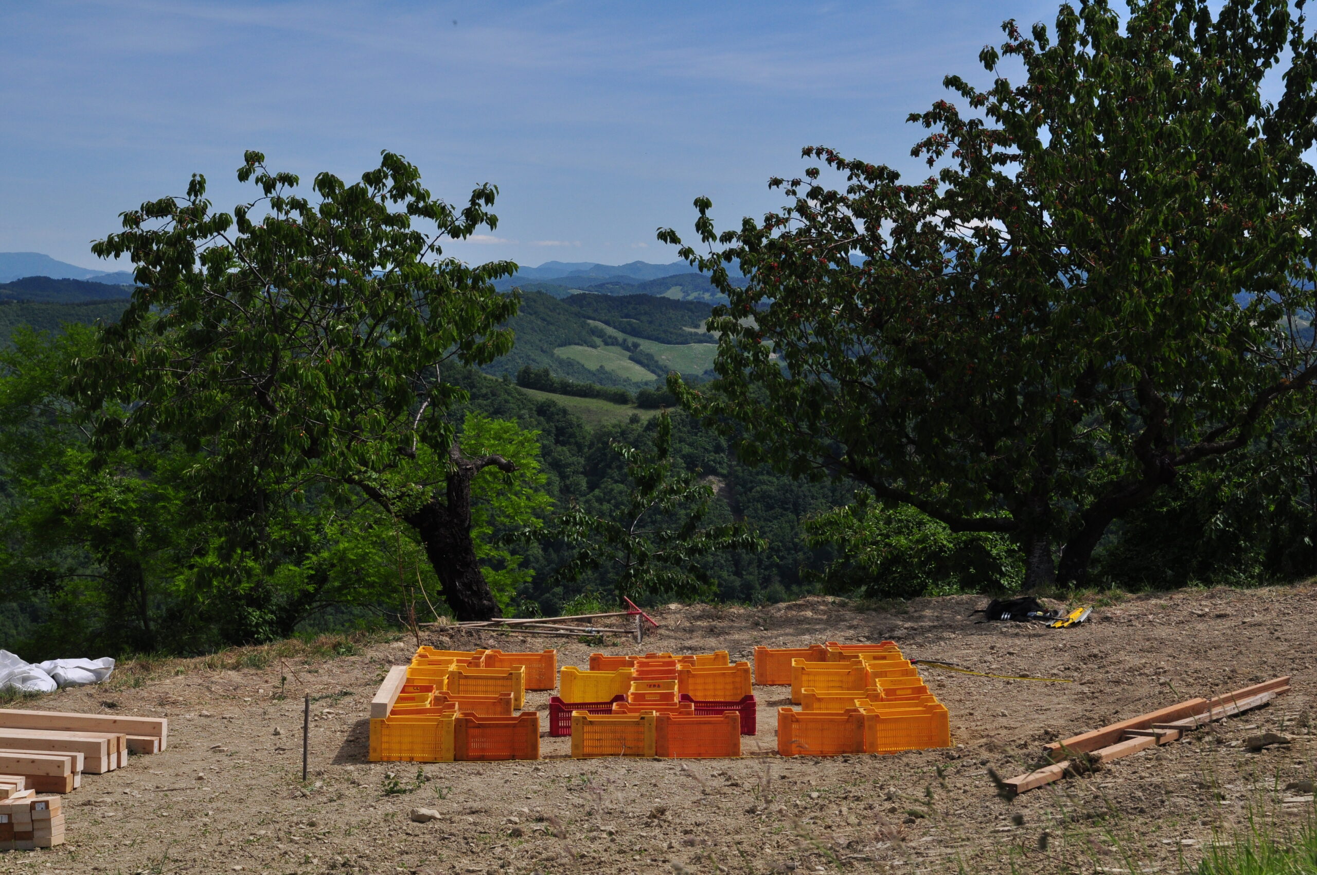 01. Plastic crates